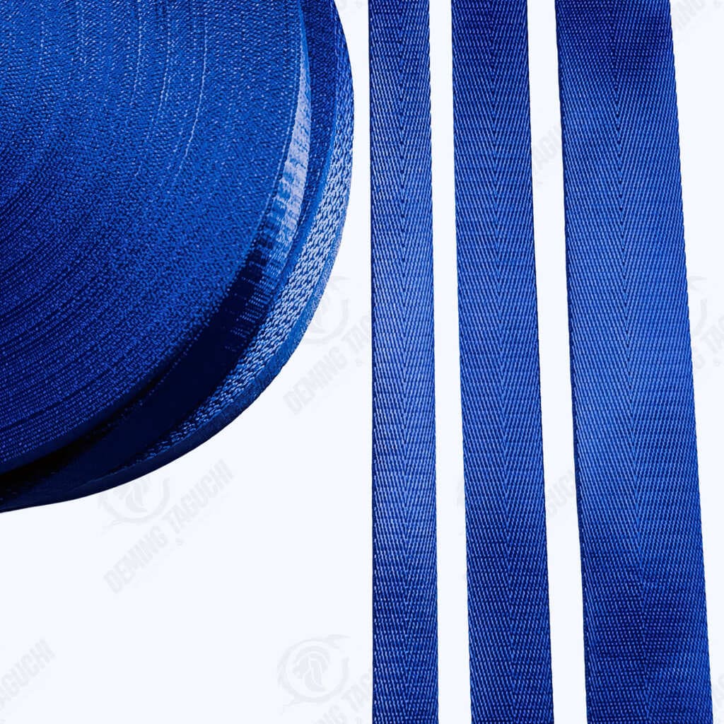 Cinta Nylon Brillo AZULINO 2cm, 2.5cm, 3.8cm, Cinta de Nylon Brillante para Carteras, Cinta de Nylon Azulino de Alto Brillo, Cinta de Nylon Sublimable Azulino, Cinta de Nylon Resistente al Desgarro en Azulino, Cinta de Nylon con Adherencia Superior Azulino, Cinta de Nylon Brillosa Importada en Azulino, Cinta Económica de Nylon para Mochilas, Cinta Premium para Correas de Morral, Cintas para Correas de Carteras, Cintas de Nylon al por Mayor y Menor, Cintas de Nylon por Rollos, Paquetes de Cintas de Nylon.