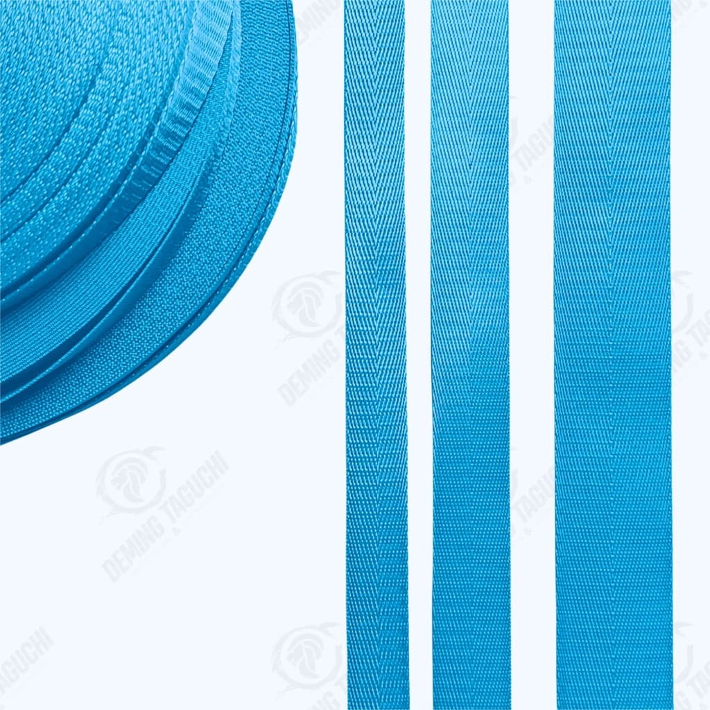 Cinta Nylon Brillo TURQUESA 2cm, 2.5cm, 3.8cm, Cinta de Nylon Brillante para Carteras, Cinta de Nylon Turquesa de Alto Brillo, Cinta de Nylon Sublimable Turquesa, Cinta de Nylon Resistente al Desgarro en Turquesa, Cinta de Nylon con Adherencia Superior Turquesa, Cinta de Nylon Brillosa Importada en Turquesa, Cinta Económica de Nylon para Mochilas, Cinta Premium para Correas de Morral, Cintas para Correas de Carteras, Cintas de Nylon al por Mayor y Menor, Cintas de Nylon por Rollos, Paquetes de Cintas de Nylon.
