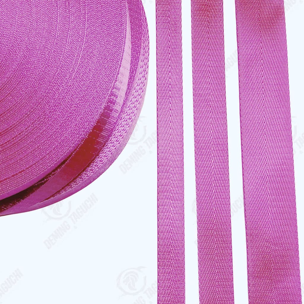 Cinta Nylon Brillo CHICLE 2cm, 2.5cm, 3.8cm, Cinta de Nylon Brillante para Carteras, Cinta de Nylon Chicle de Alto Brillo, Cinta de Nylon Sublimable Chicle, Cinta de Nylon Resistente al Desgarro en Chicle, Cinta de Nylon con Adherencia Superior Chicle, Cinta de Nylon Brillosa Importada en Chicle, Cinta Económica de Nylon para Mochilas, Cinta Premium para Correas de Morral, Cintas para Correas de Carteras, Cintas de Nylon al por Mayor y Menor, Cintas de Nylon por Rollos, Paquetes de Cintas de Nylon.